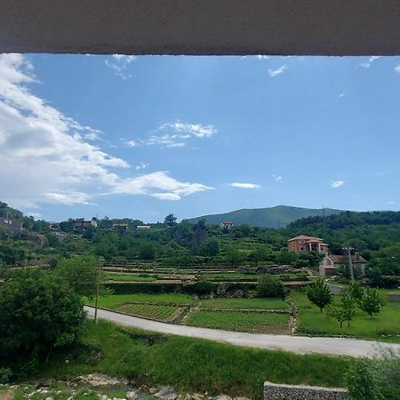 Zvecanje Apartman Nature מראה חיצוני תמונה