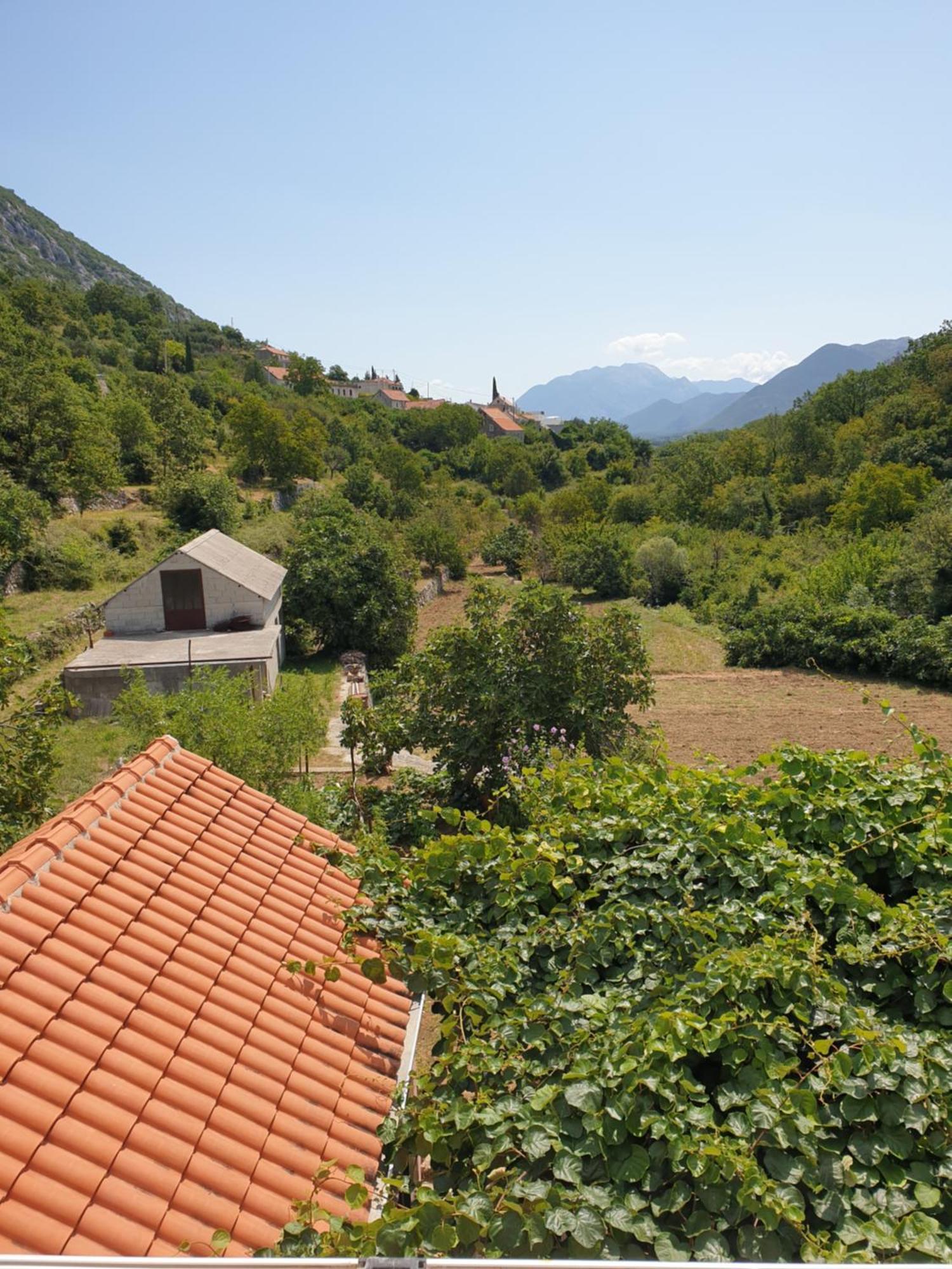 Zvecanje Apartman Nature מראה חיצוני תמונה